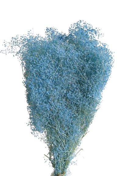 Preserved Gypsophila Mini, 100 gram, 50cm, Blue