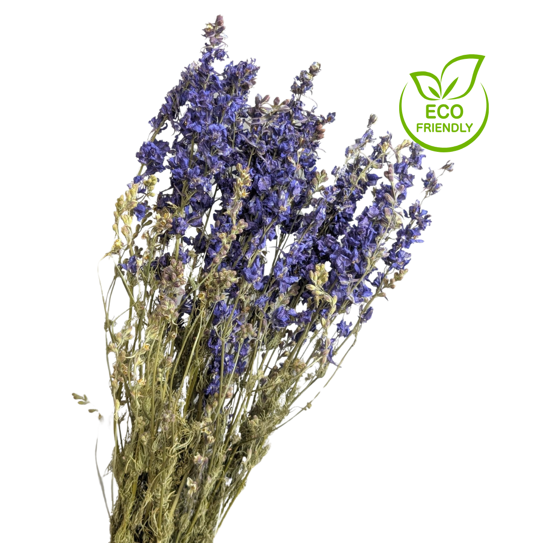 Dried Delphinium, 20 stems, 70cm, Natural Blue