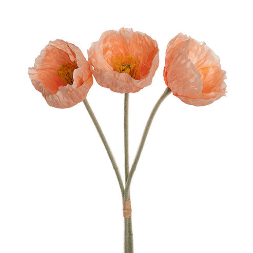 Large Poppy 3 Stem Bunch Soft Peach