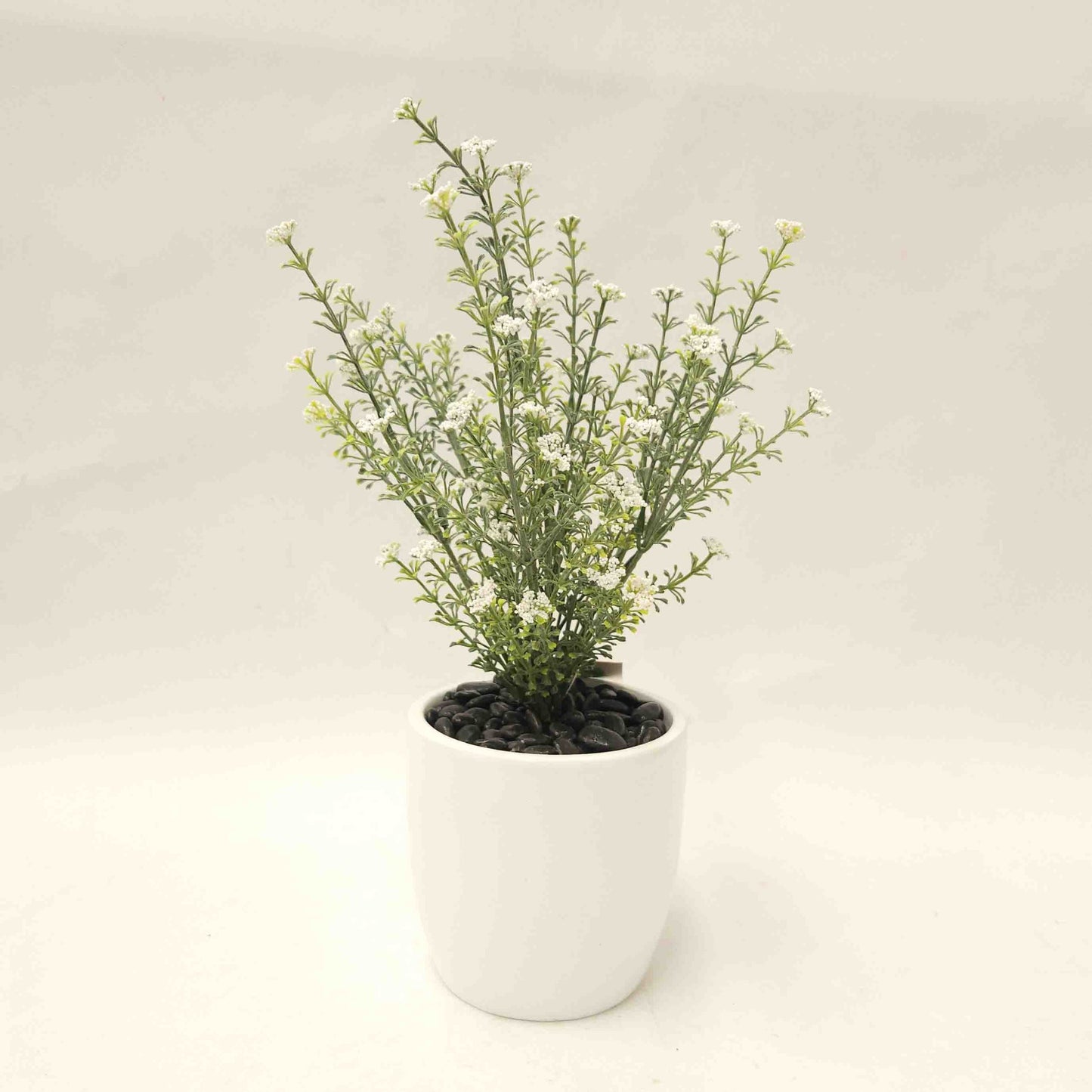 Baby’s Breath Bush with White Flowers - Complete in Decorative Fiberglass Pot