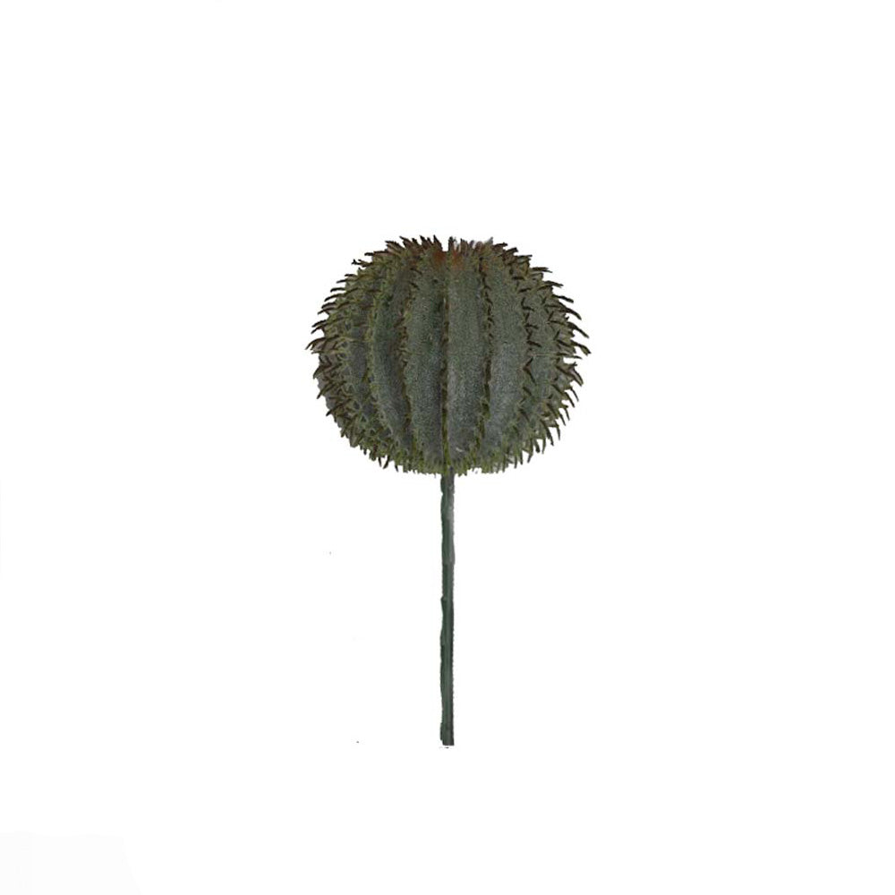 Cactus Barrel
