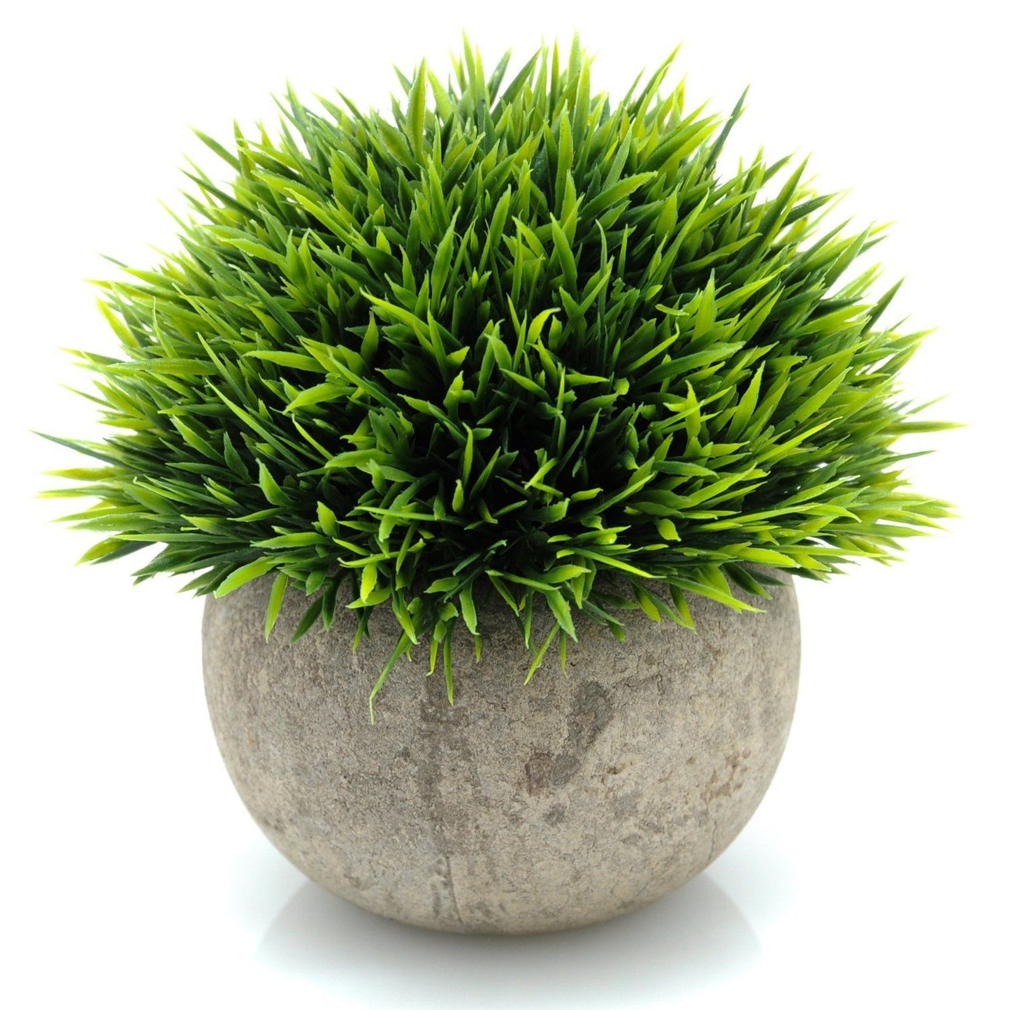 Mondo Grass Ball Potted 12cm