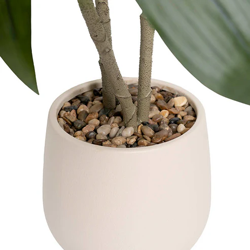 Dracaena in White Pot Faux Real Touch Green (120cmH)