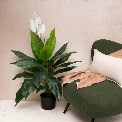 Spathiphyllum Plant Potted Real Touch Green (100cmH)