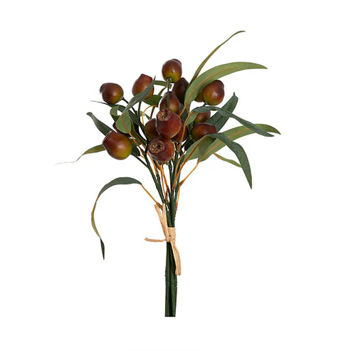 Native Eucalyptus Gumnut Bunch Brown (36cmH)