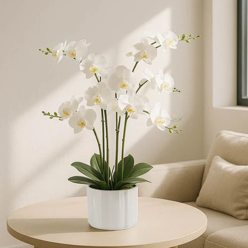 Why Artificial Plants Are Perfect for Modern Living