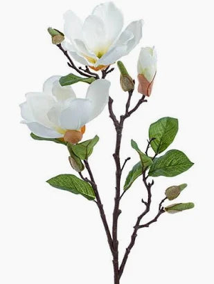 Artificial Magnolias