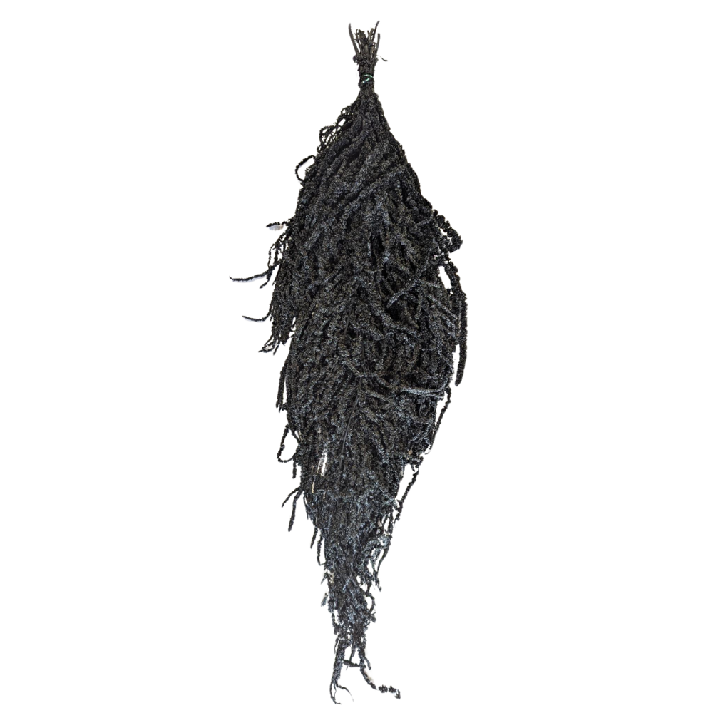 Preserved Hanging Amaranthus, 50-80cm, 150 gram, Black