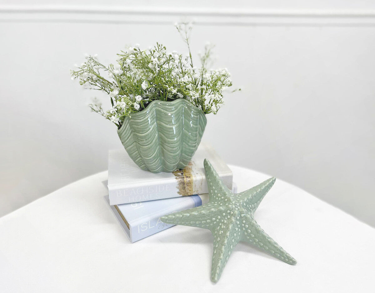 Vase/planter Shell