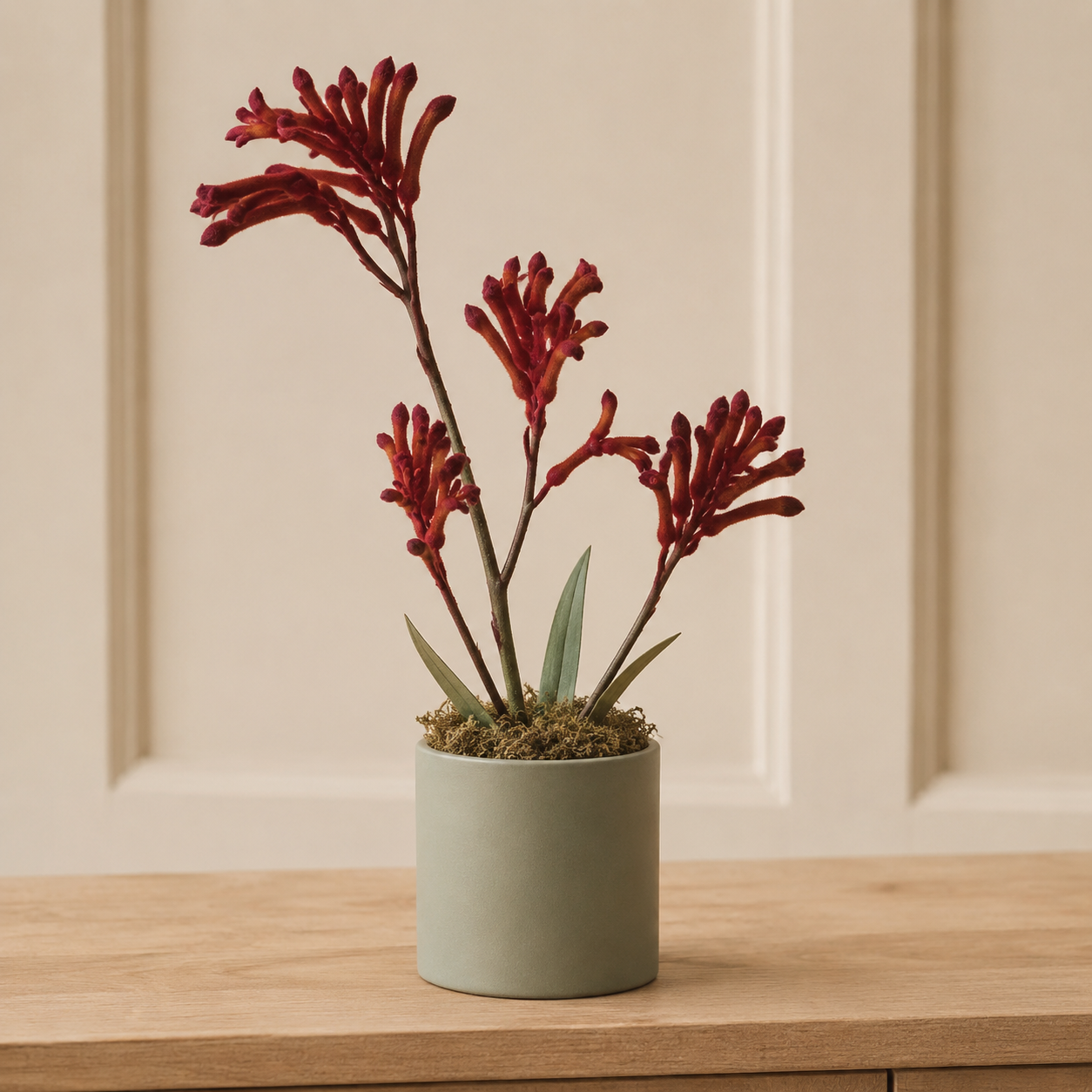 Kangaroo Paw Glow