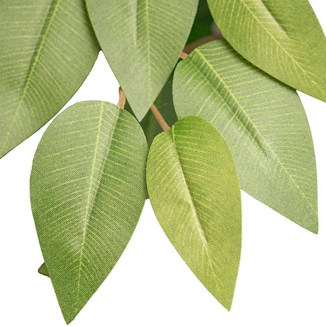 Giant Artificial Sakaki Tree Potted Green (210cmH)