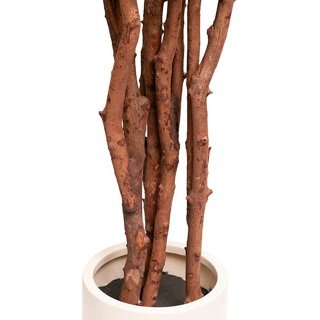 Giant Artificial Sakaki Tree Potted Green (210cmH)