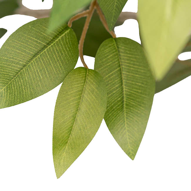 Giant Artificial Sakaki Tree Potted Green (210cmH)