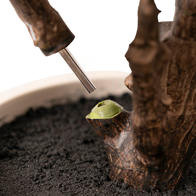Premium Real Touch Artificial Rubber Tree Green (120cmH)