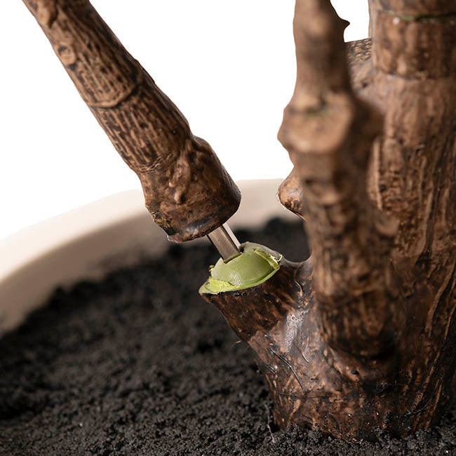 Premium Real Touch Artificial Rubber Tree Green (120cmH)
