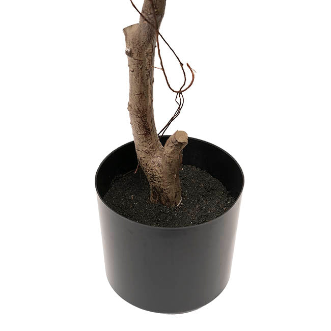 Real Touch Rubber Tree Green (150cmH)