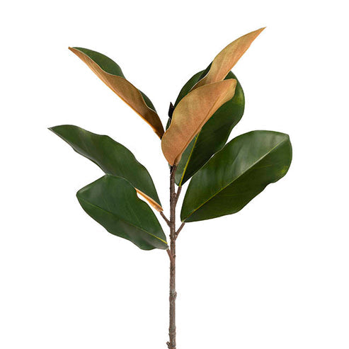 Magnolia Leaf Spray Real Touch Green (60cmH)