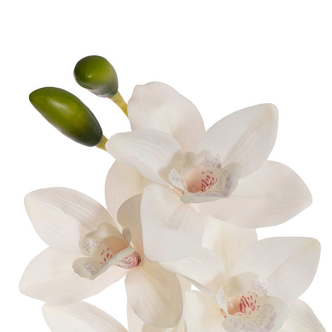 Cymbidium Orchid Real Touch 9 Head White (76cmH)