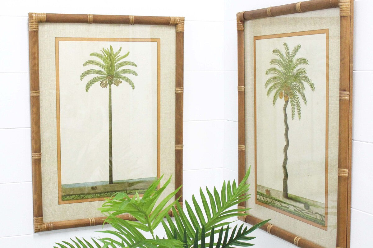 Framed Print Asstd Palms