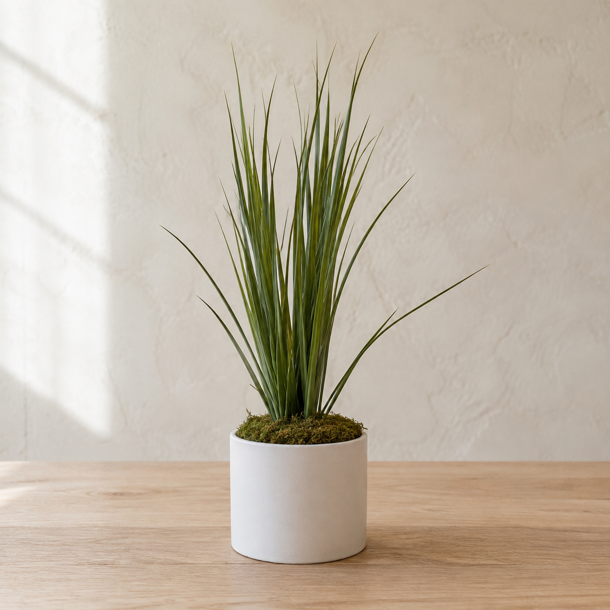 Little Spear Grass