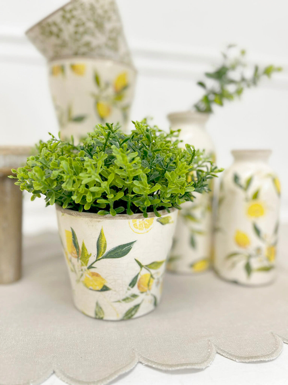 Planter Lemon