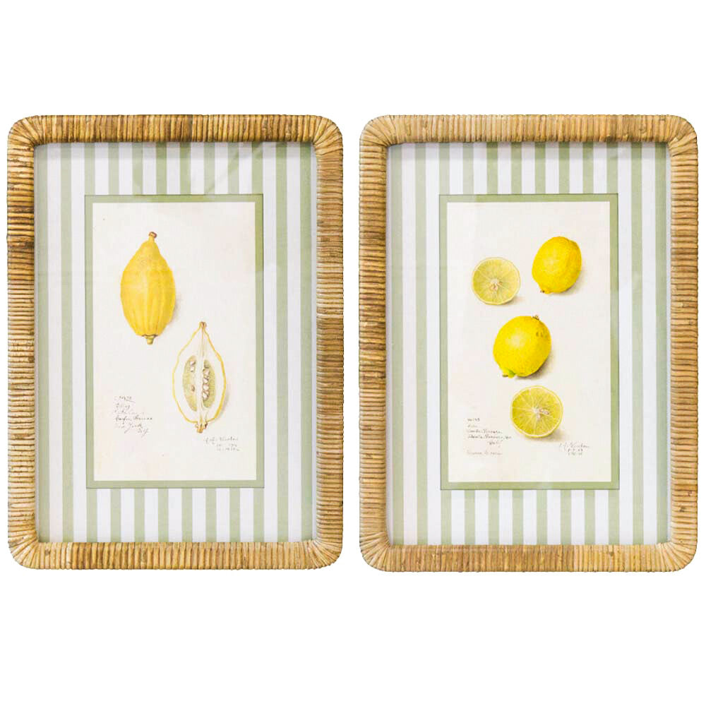 Framed Print Asstd Lemons