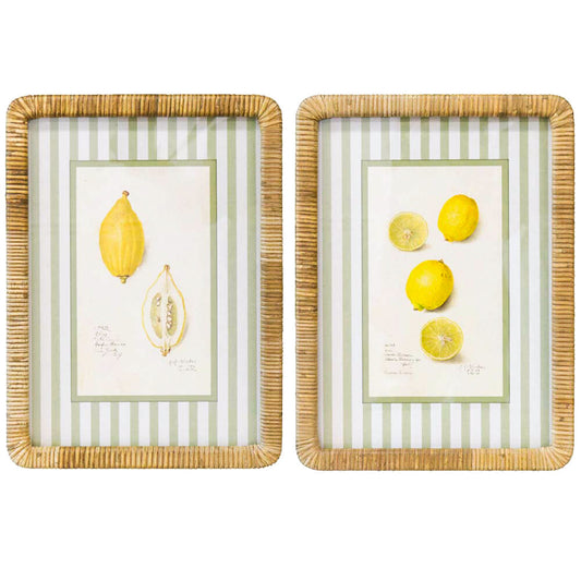 Framed Print Asstd Lemons