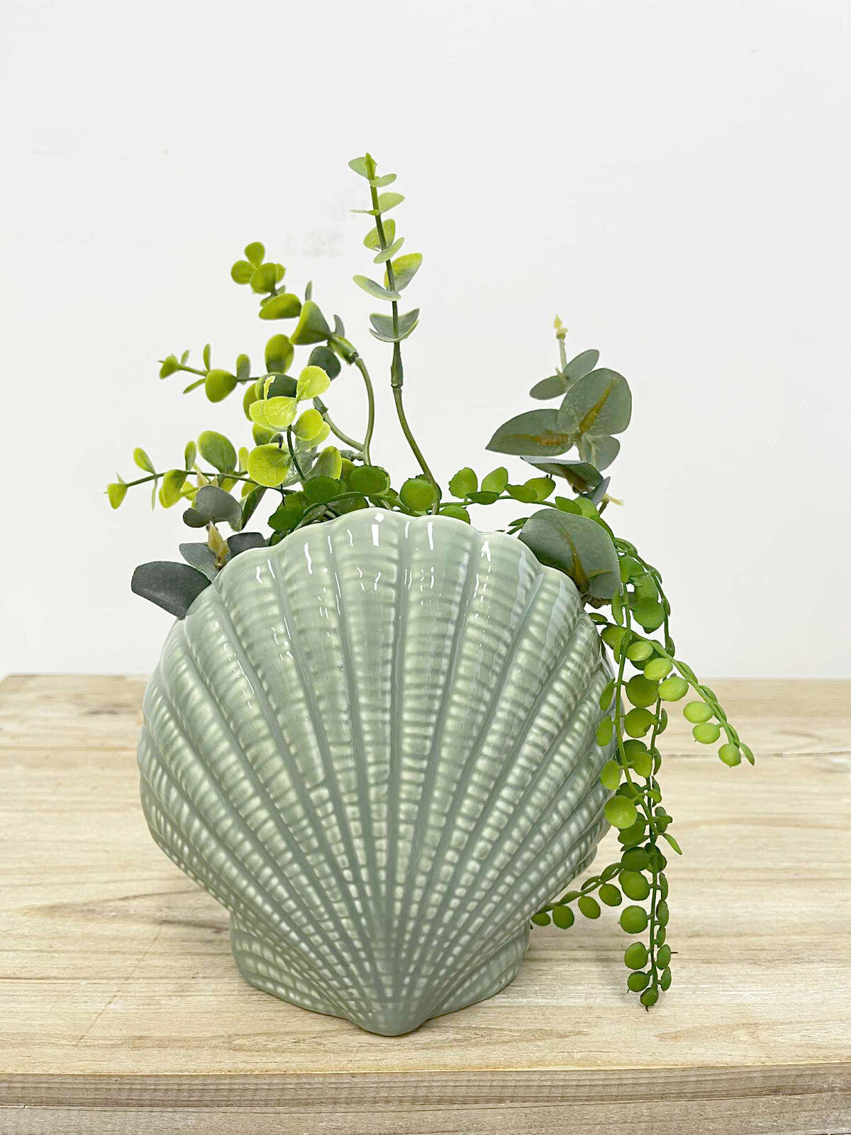 Vase/planter Fan Shell