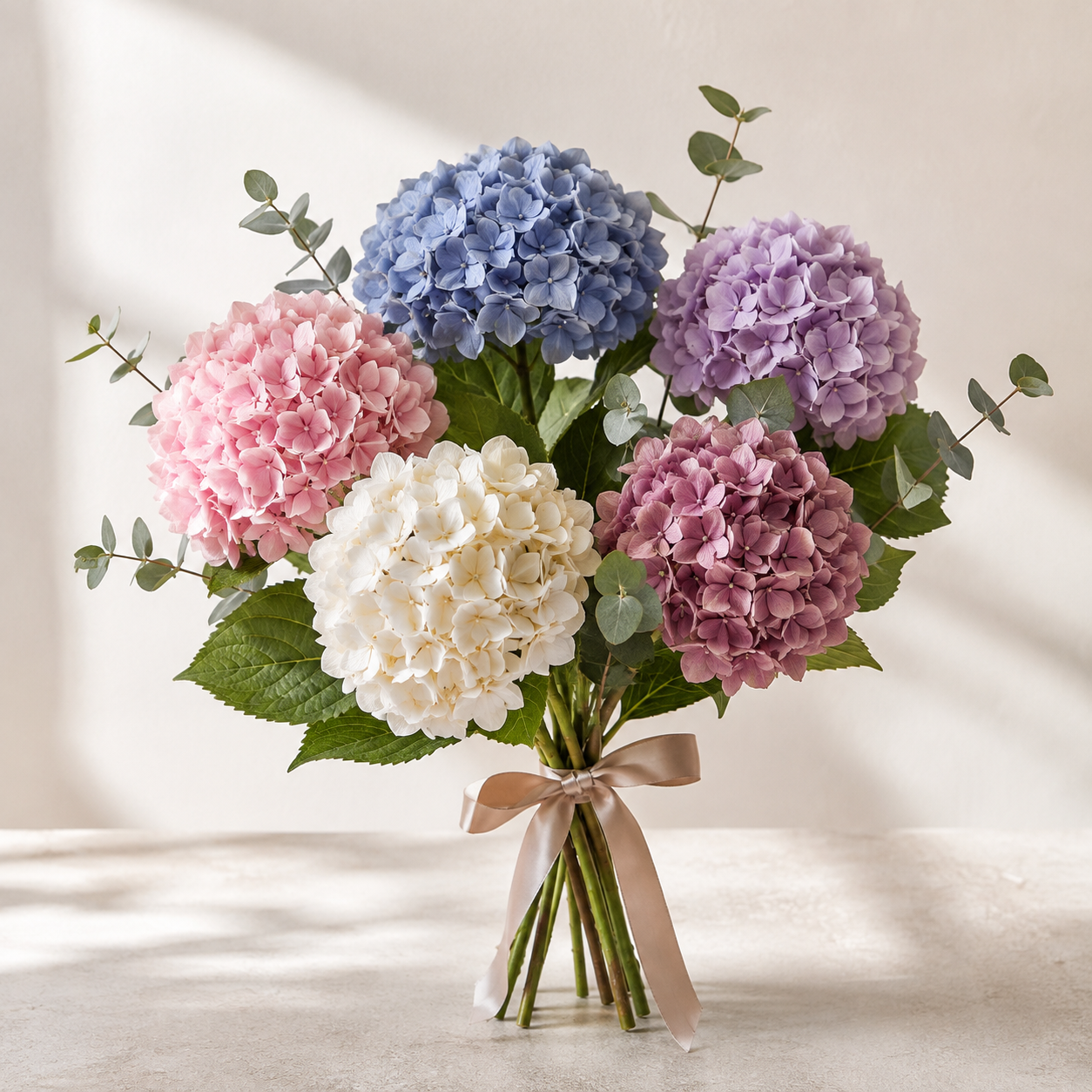 Clouded Hydrangea
