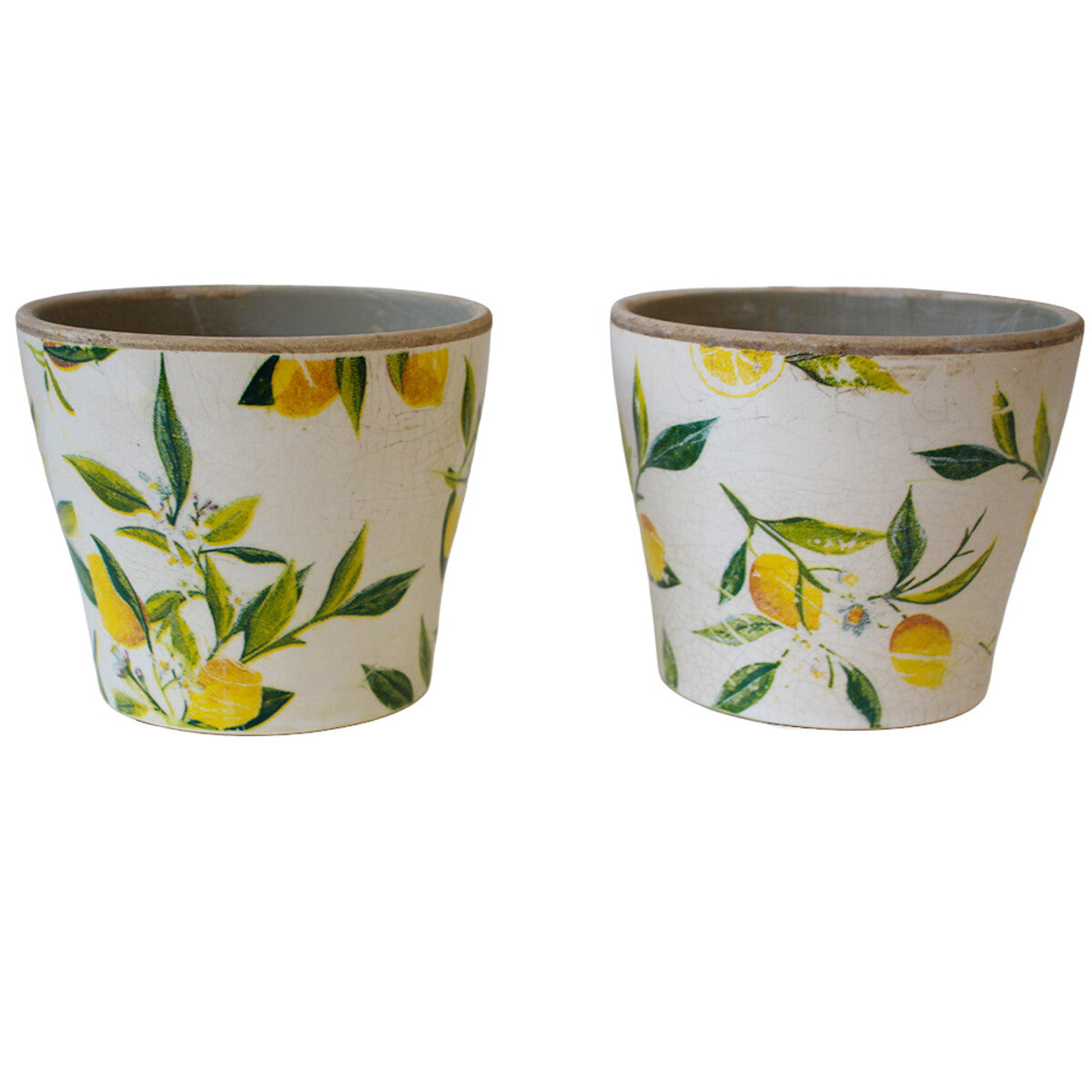 Planter Lemon