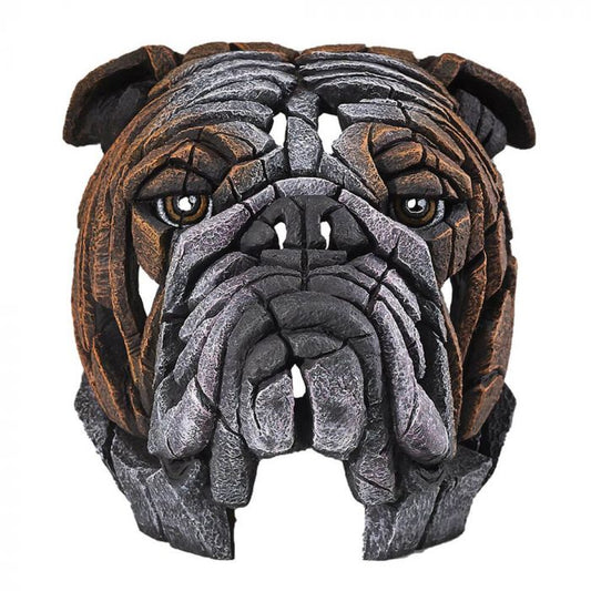 EDGE BULLDOG BUST