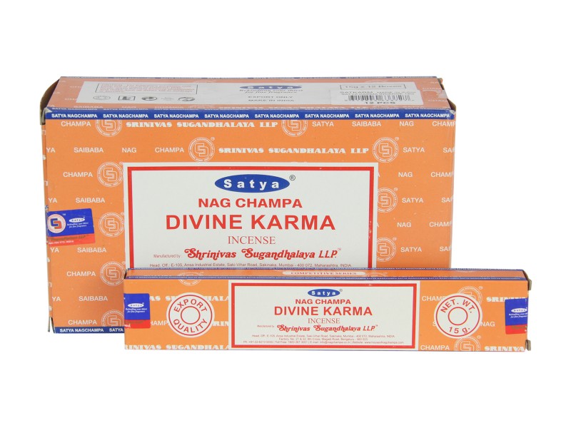 Satya Divine Karma