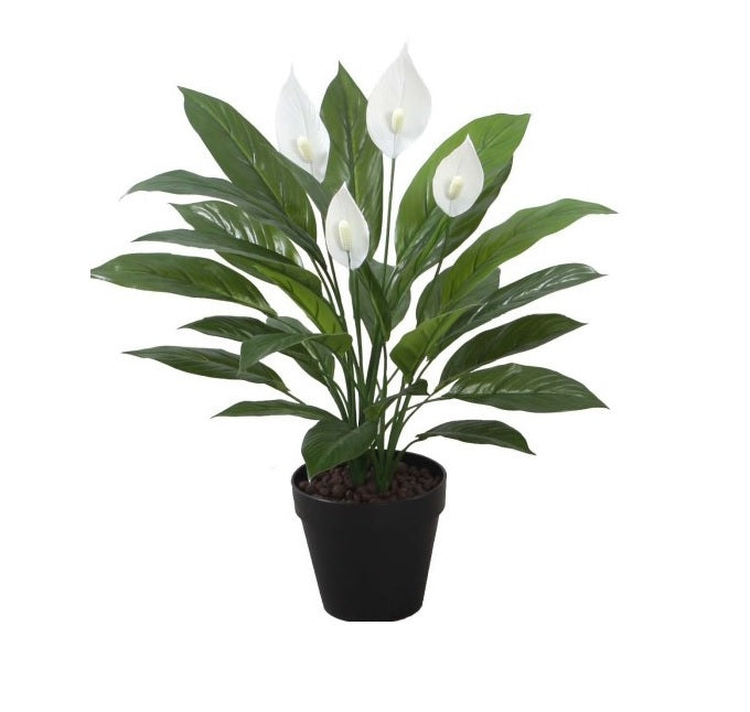 Artificial Spathiphyllum Plant/ Peace Lilly Plant