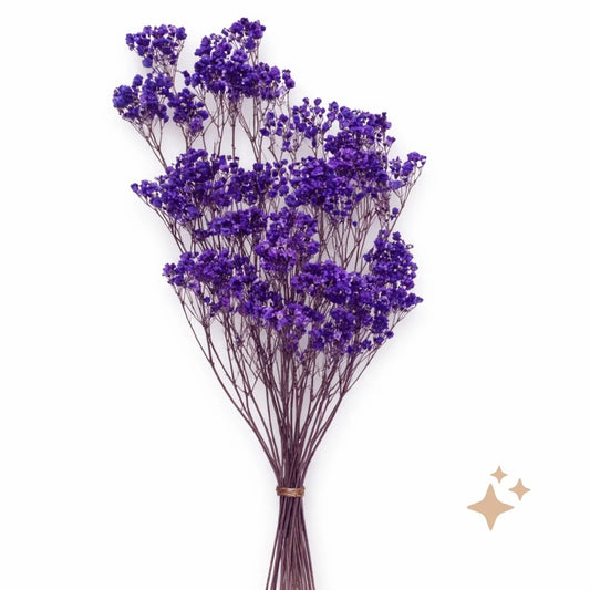 Preserved Gypsophila Xlence, 4 stems, 60cm, Deep Lavender