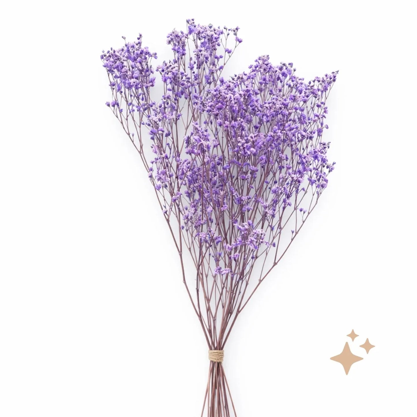 Preserved Gypsophila Xlence, 4 stems, 60cm, Lilac