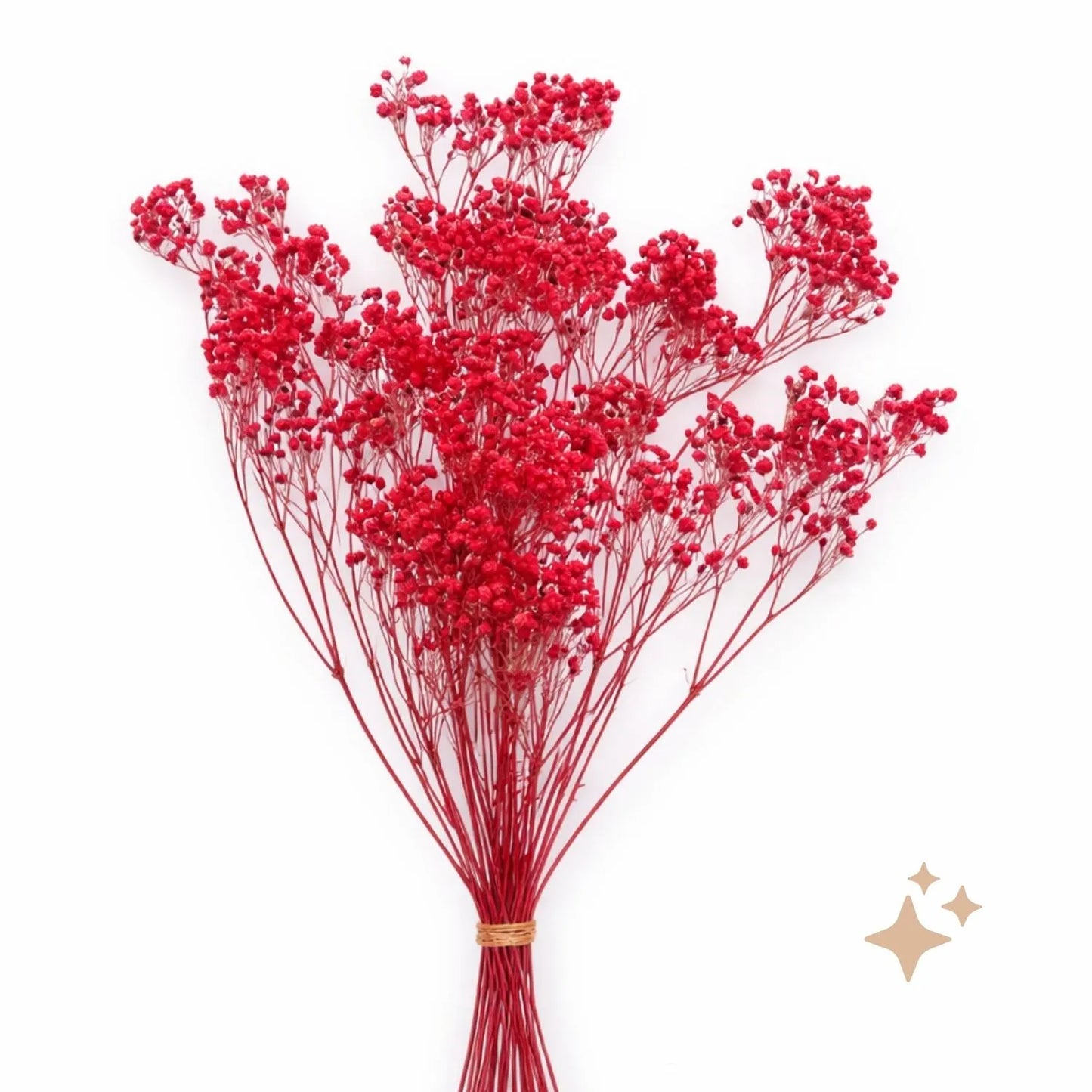 Preserved Gypsophila Xlence, 4 stems, 60cm, Red