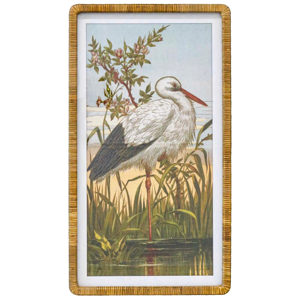 Framed Print Heron