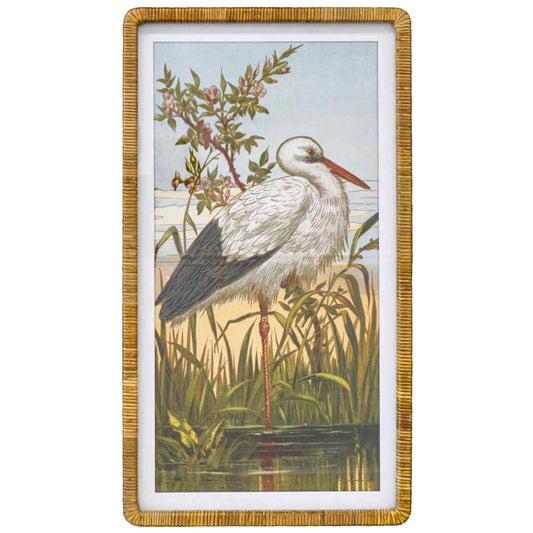Framed Print Heron