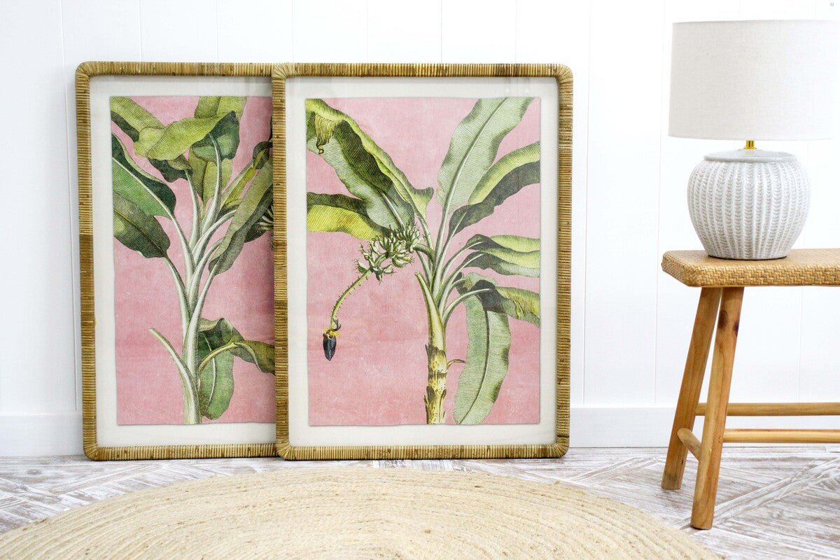 Framed Print Asstd Banana Palms