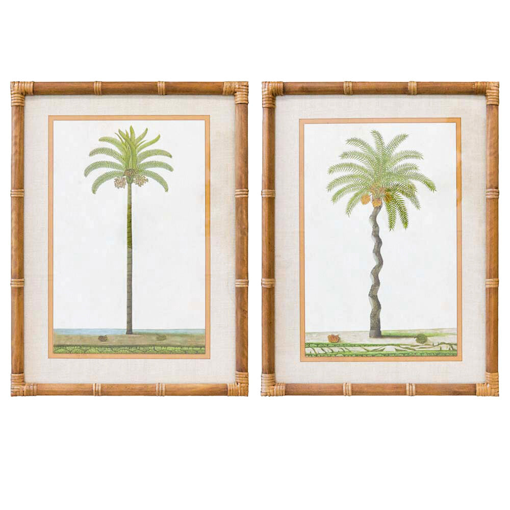Framed Print Asstd Palms