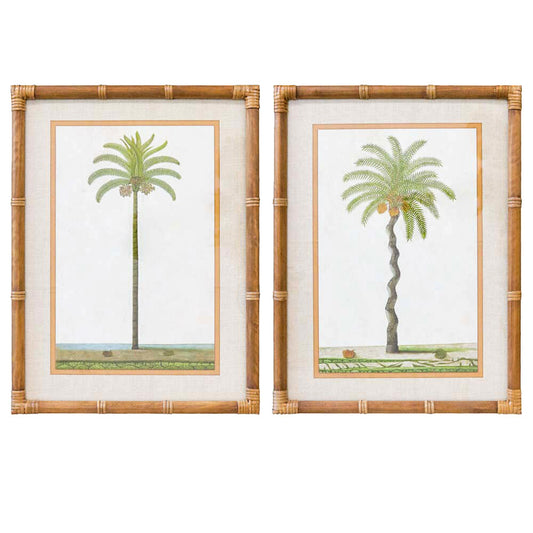 Framed Print Asstd Palms