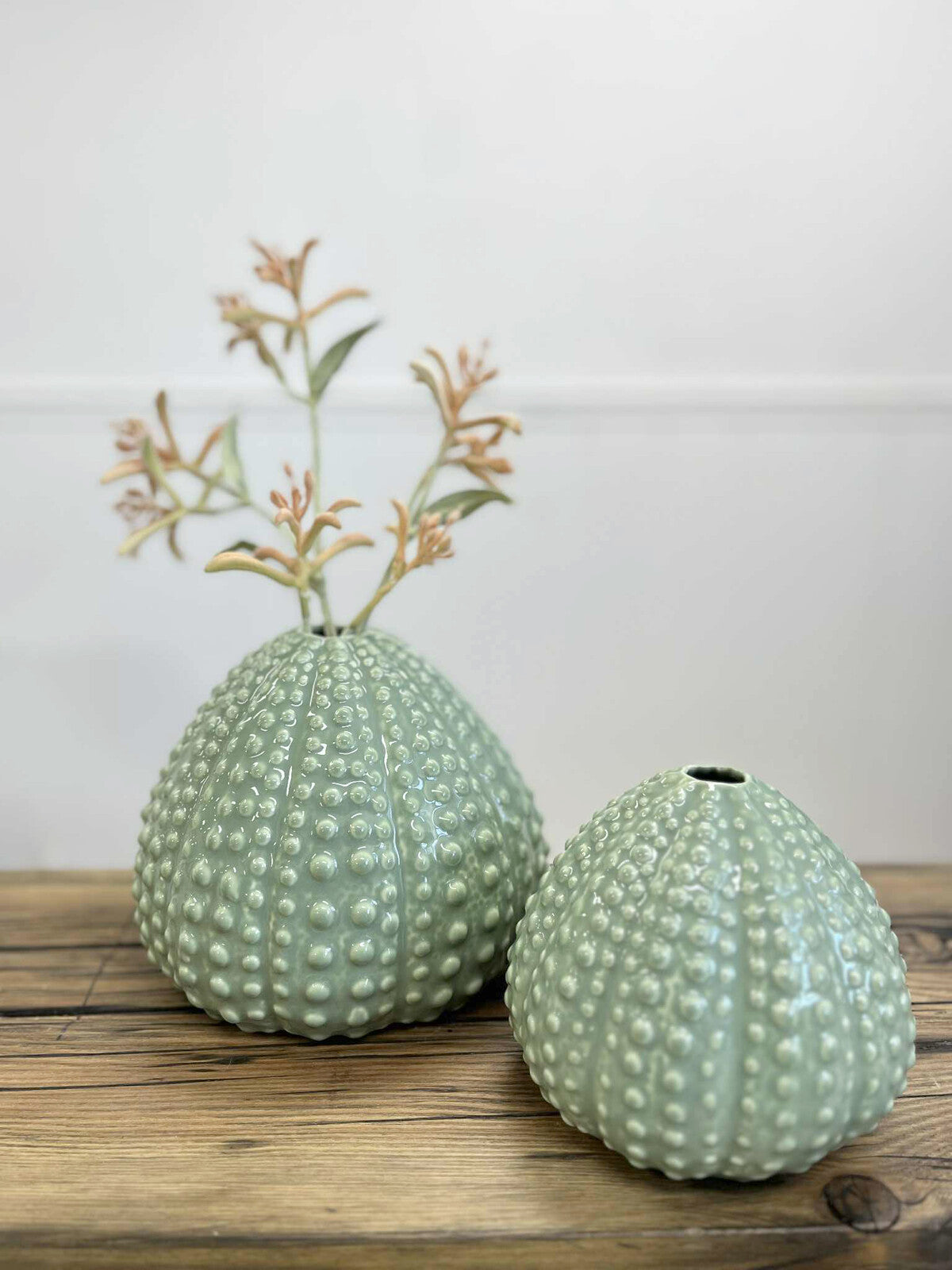 Bud Vase Urchin A