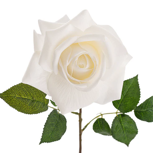 Bella Rose Real Touch Full Bloom Lge White (12cmDx65cmH)