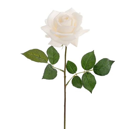 Bella Rose Real Touch Full Bloom Lge White (12cmDx65cmH)