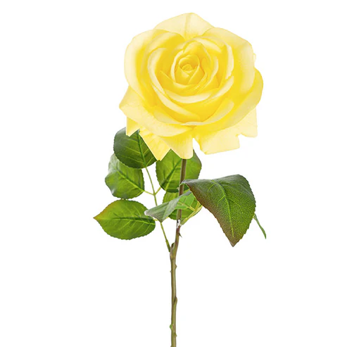 Bella Rose Real Touch Full Bloom Lge Yellow (12cmDx65cmH)
