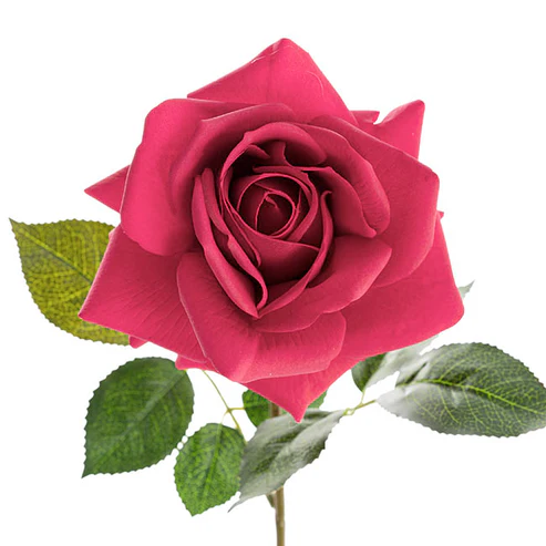 Bella Rose Real TouchFull Bloom Lge Hot Pink (12cmDx65cmH)