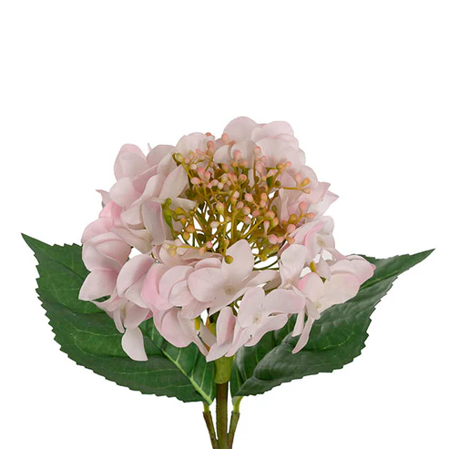 Budding Real Touch Hydrangea Stem White Pink (18cmDx70cmH)