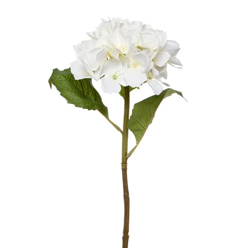 Claire Hydrangea Short Stem Cream (52cmH)