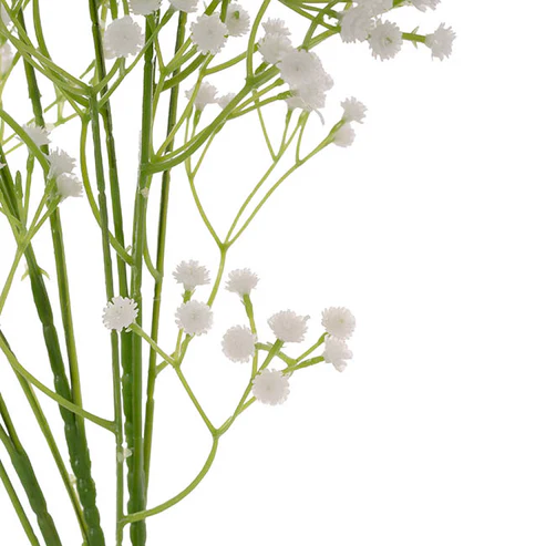 Gypsophila Baby's Breath Bunch x 3 White (62cmH)
