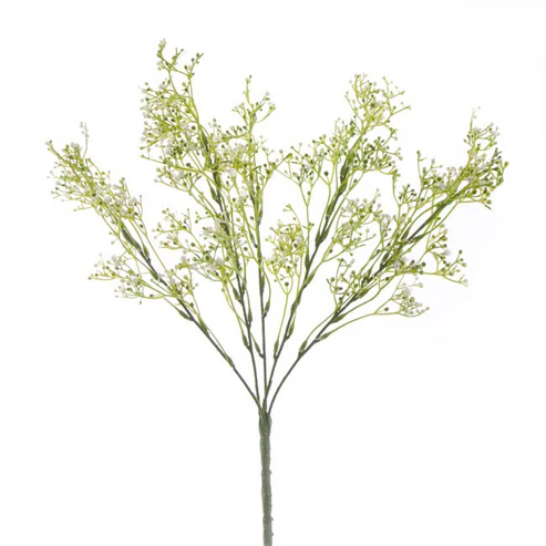 Gypsophila Baby's Breath Bunch White (39cmH)
